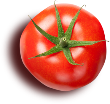 orn-tomato2