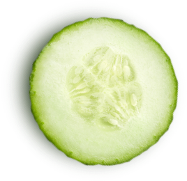 orn-cucumber-rot